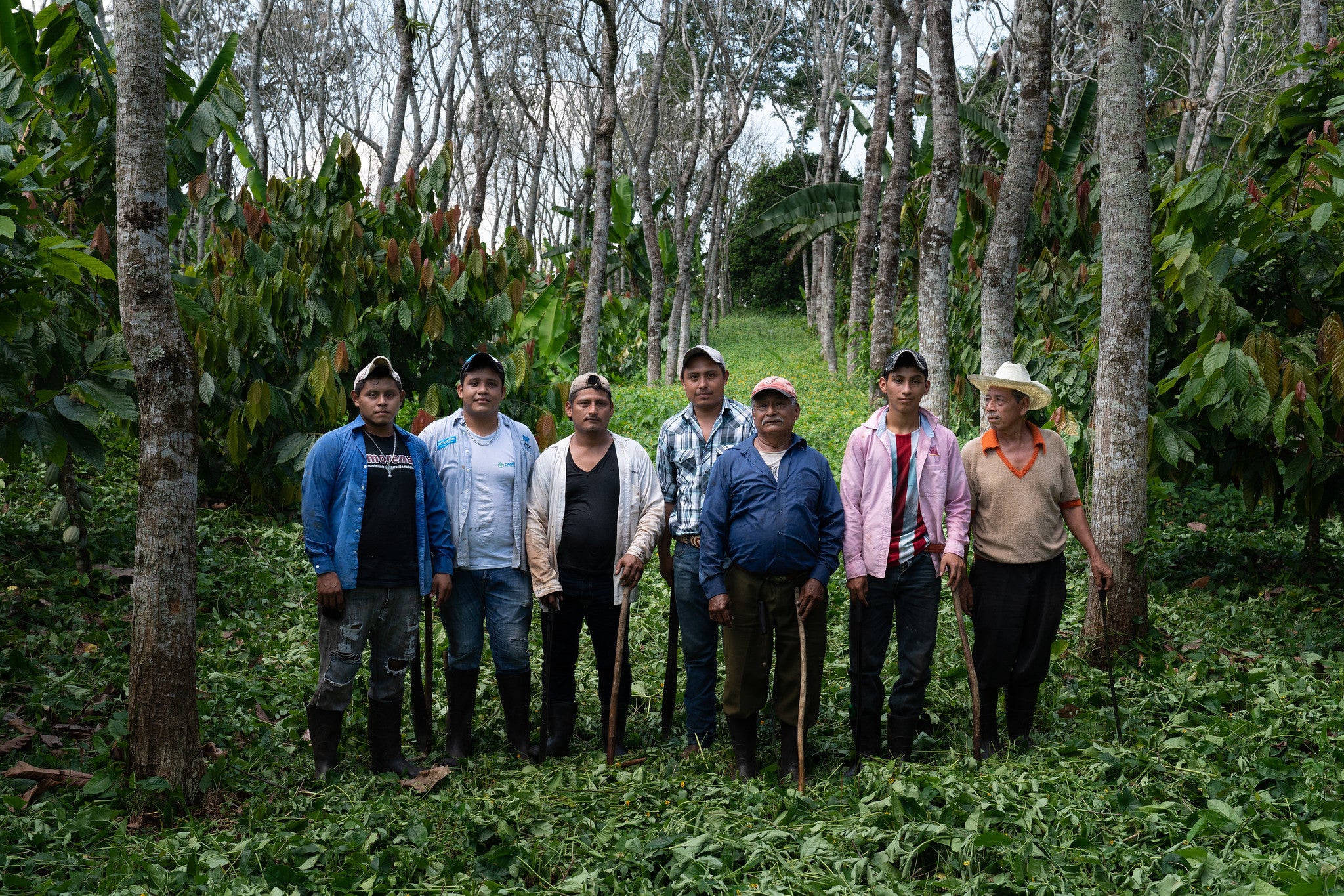 Selva Tabasqueño, Mexico 🇲🇽 (English Version)