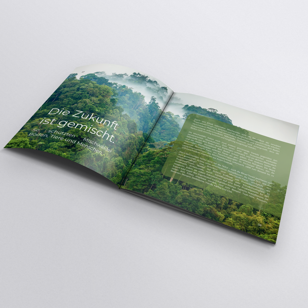 Moruga brochure