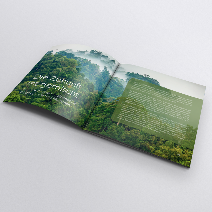 Moruga brochure
