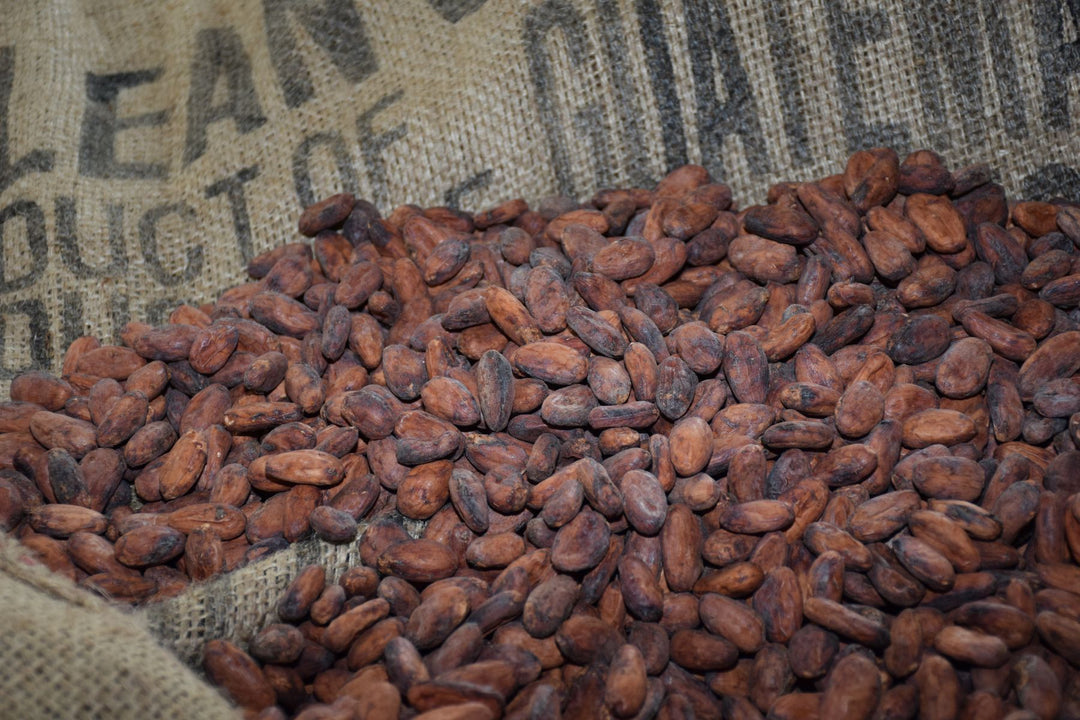 Ist Rohkakao eine Lüge? | Moruga Cacao