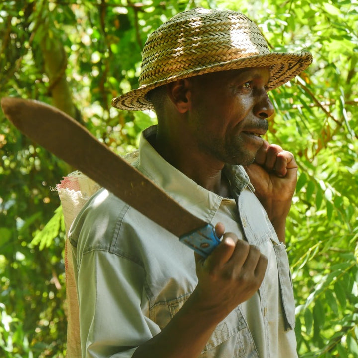 Bio Kakao Bauer in Tansania Afrika