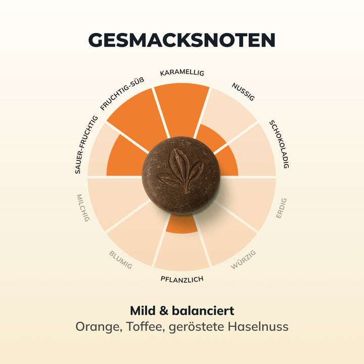 Udzungwa | Tanzania 🇹🇿