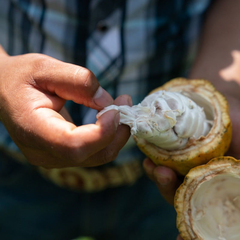 Bio Kakao aus Mexiko von Moruga