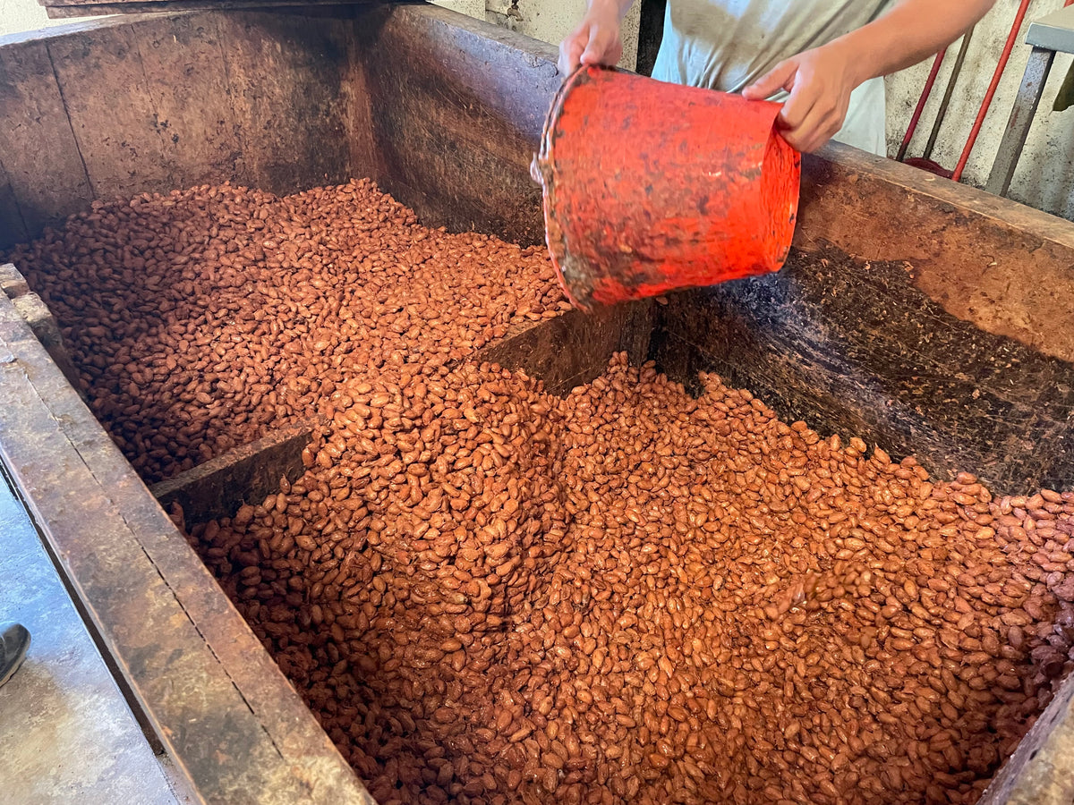 Kakaobohnen werden in hölzernen Fermentationsboxen umgesetzt