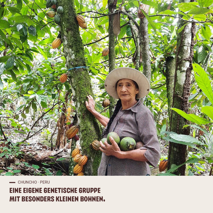 Menschen und Kakao-Ursprung chuncho