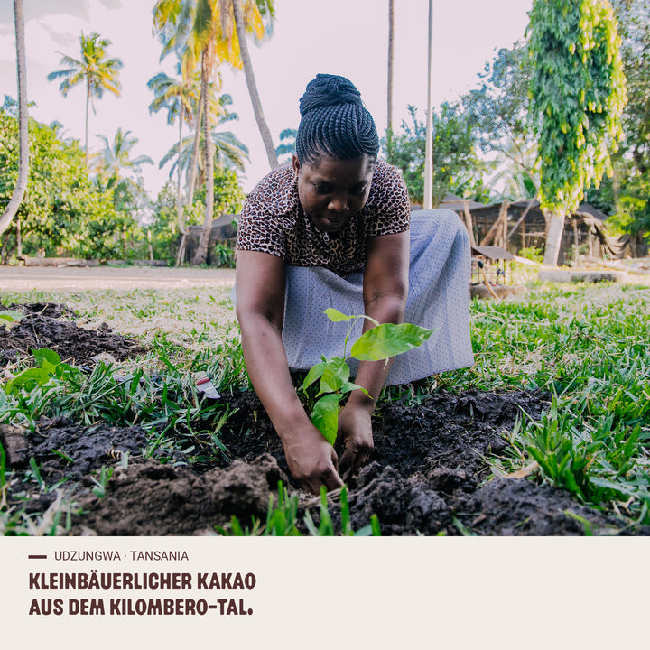 Kakao-Ursprung udzungwa